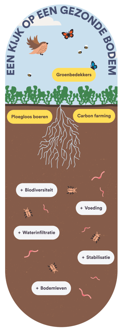 Kijk op gezonde bodem