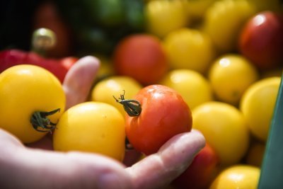 Tomaten van De Loods