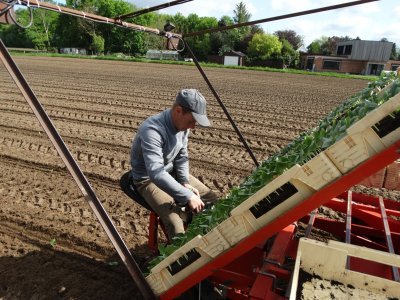 Machinaal planten op akker