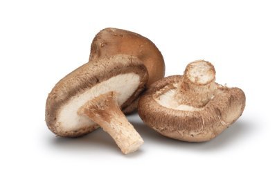 Shiitake