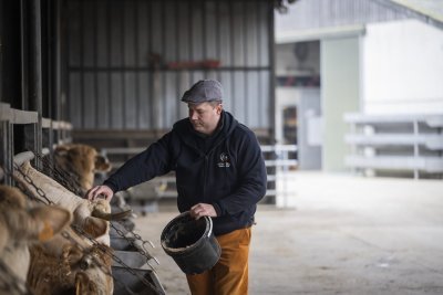 Alain Van Den Vreken bij de koeien