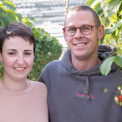 Aardbeienkwekerij Demedts - De Mey