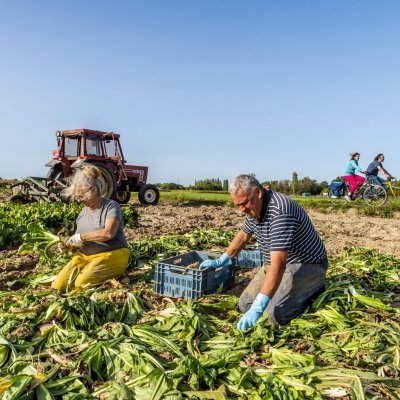 Danny & Bieke Schoevaerts – Hoogeras