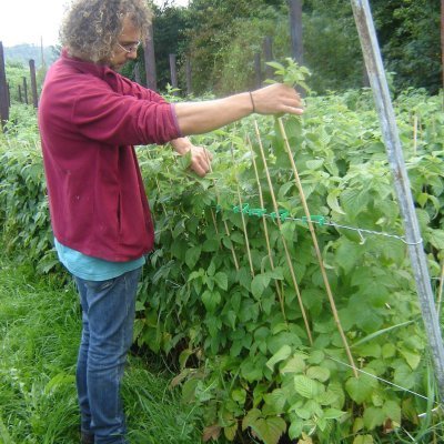 De Ferme Framboos