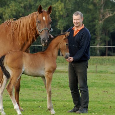 Filippus Paardenmelkerij