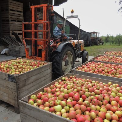 Biologisch fruitbedrijf Van Eykeren