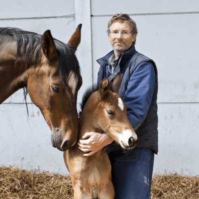 Paardenmelkerij De Beck