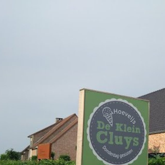 De klein Cluys