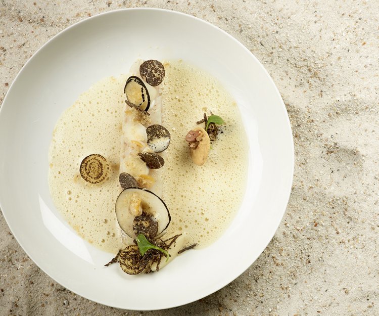 Soepje van wijting en kokkels met rammenas en truffel Soepje van wijting en kokkels met rammenas en truffel