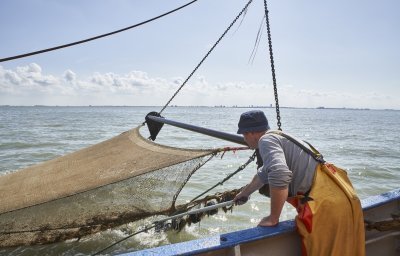 Visser op zee