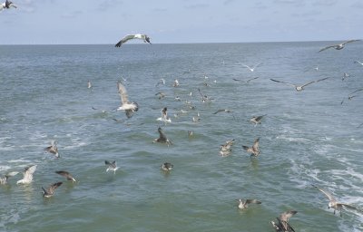 Noordzee