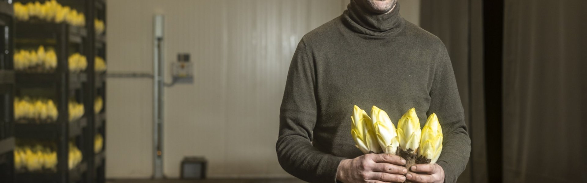 Witloofteler Stijn met witloof in de hand