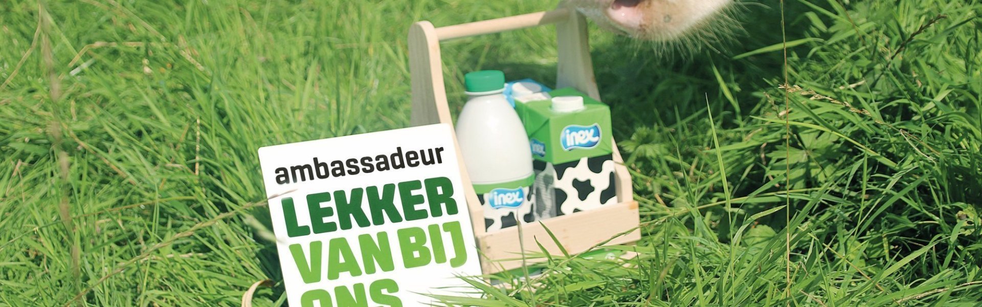 Inex-Ambassadeur Lekker van bij ons